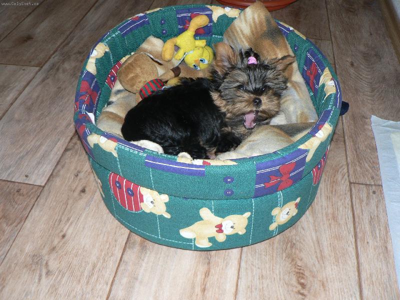 Foto: to se n�m chce spinkaaaat....