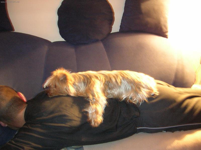 Foto: Molly a p�n��ek-odpo�inek