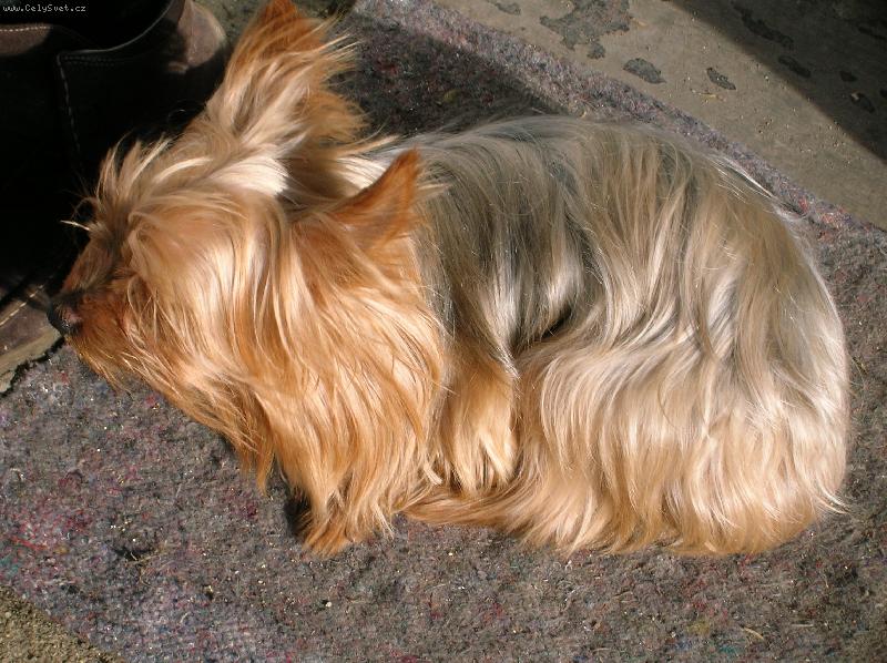 Foto: Max��ek-3roky