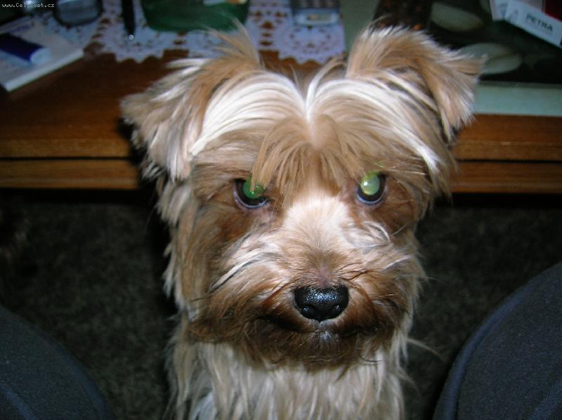 Foto: Mollynda-3roky