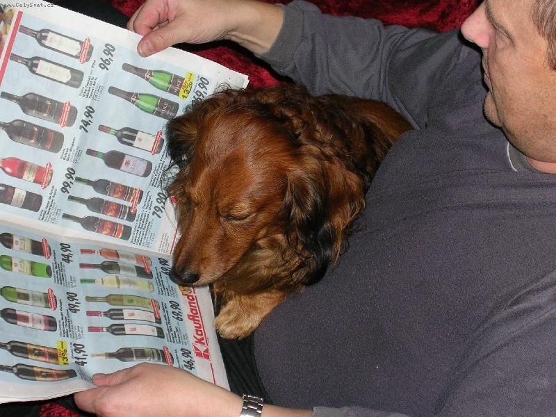 Foto: Dnes m�m chu� na b�l�-Time�ek prohl�� let�ky v�dy jen s p�n��kem