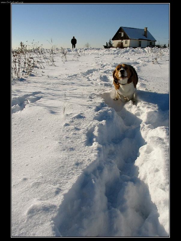 Foto: Z c�����st���!!!!