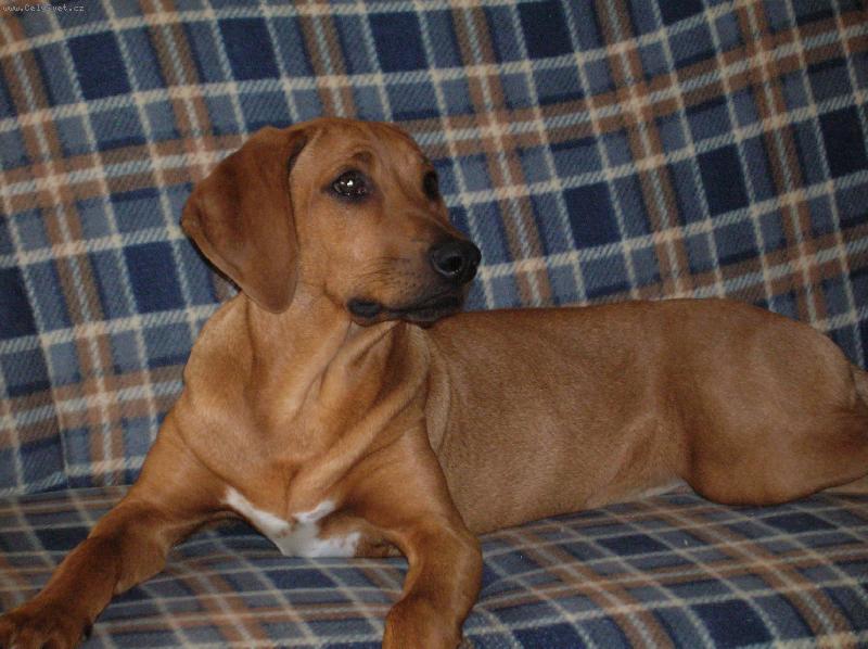 Foto: Baron-4m�s�ce-Ted uz jsem vetsi