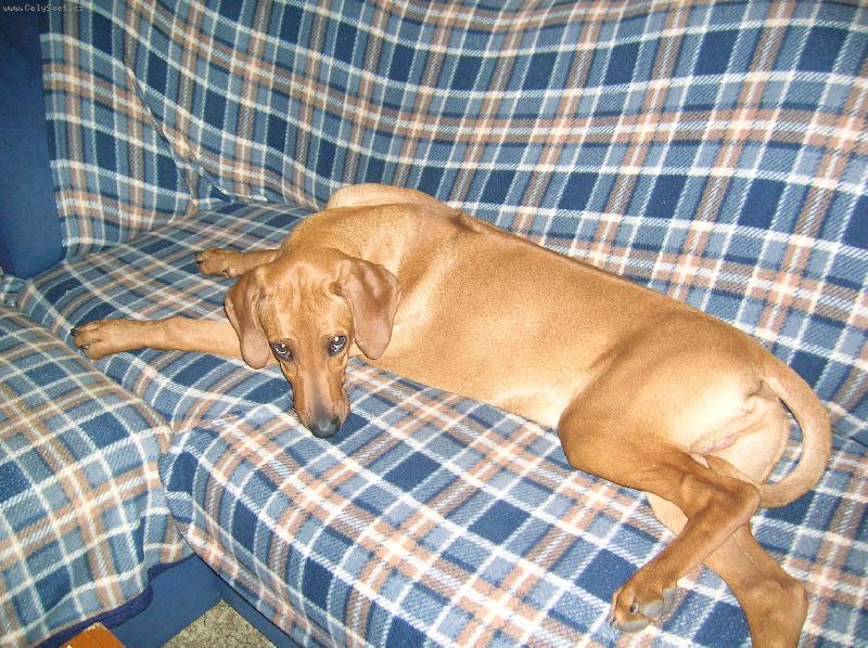 Foto: Baron-4m�s�ce-Ted uz jsem vetsi