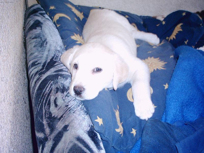 Foto: U� m� nechte kone�n� sp���t.