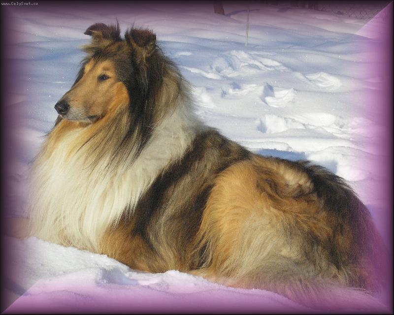 Foto: Max�k-V zim�