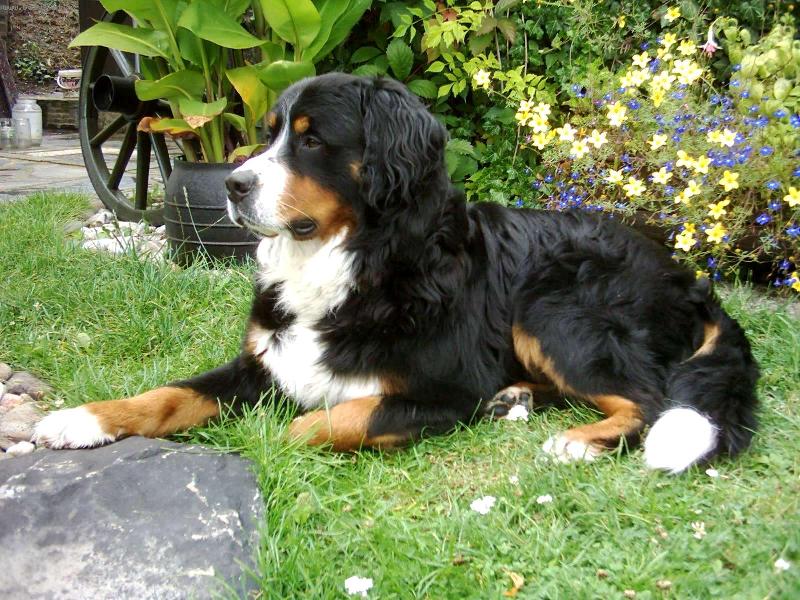 Foto: Bad z Haukovic-takto klidn� jsem jen kdy� je nad nulou