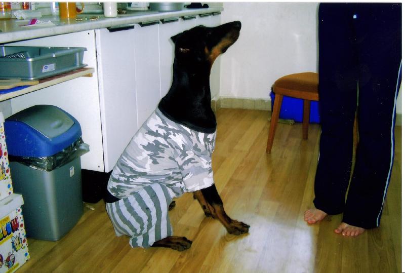 Foto: Padaj mi trencle m�mo!!!-m�j Charlie�ek