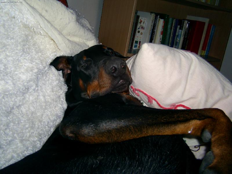 Foto: To u� m�m vst�vat?-moje zlat��ko