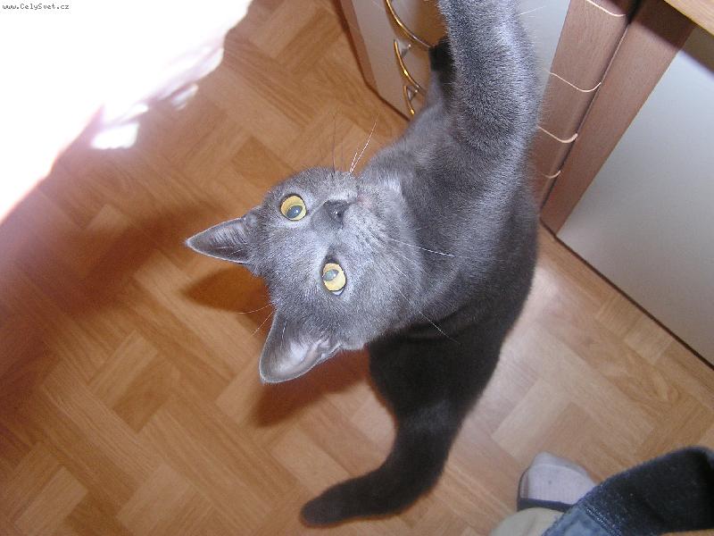 Foto: j� chci taky...-Tom�k