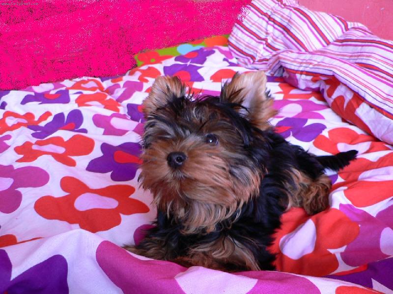 Foto: Matteo-To je nas krasnej Matysek:-)))