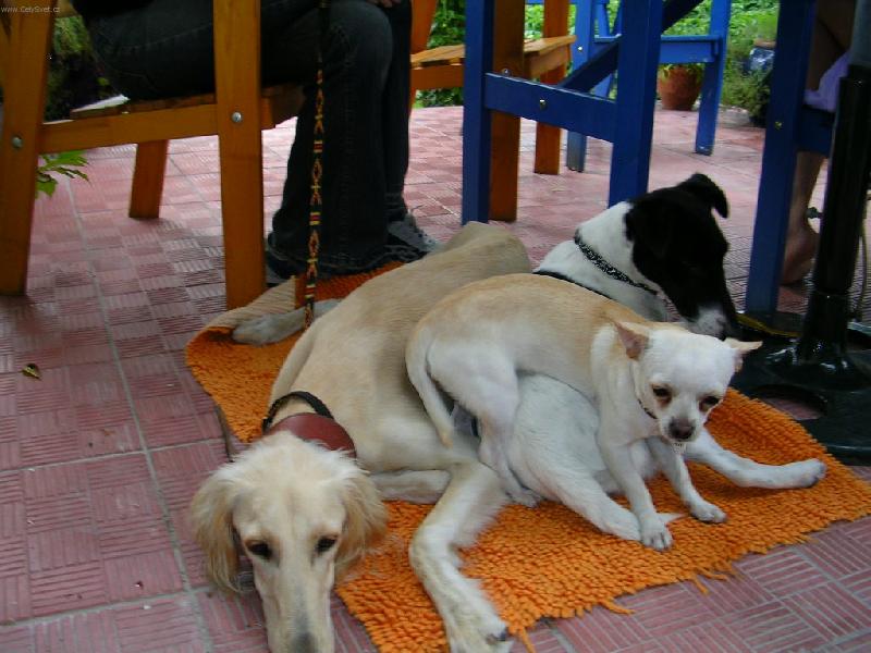 Foto: Annelee-Kudlanka n�bo�n�