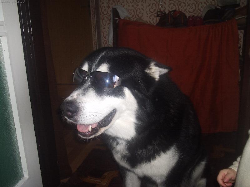 Foto: Mohl bych b�t modelem,co ��k�te:-)