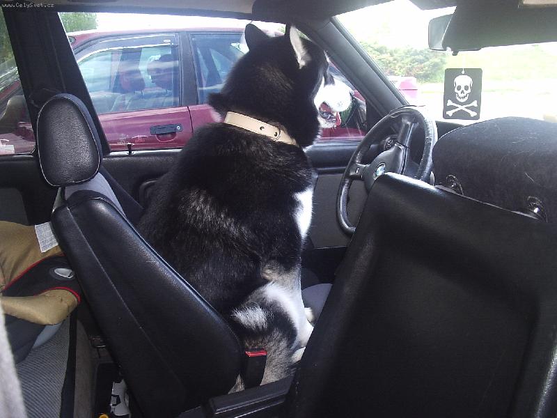 Foto: Lidi�ky nasedat,za chv�li vyjedu