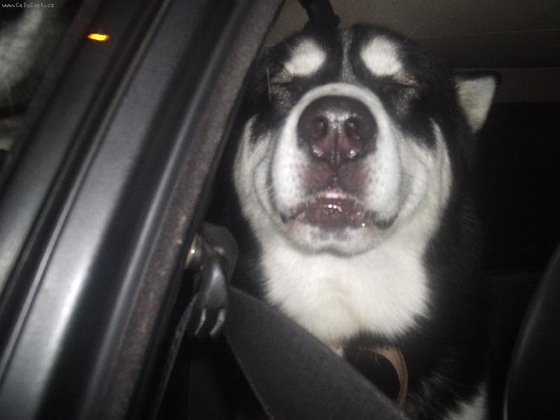 Foto: �much,�much