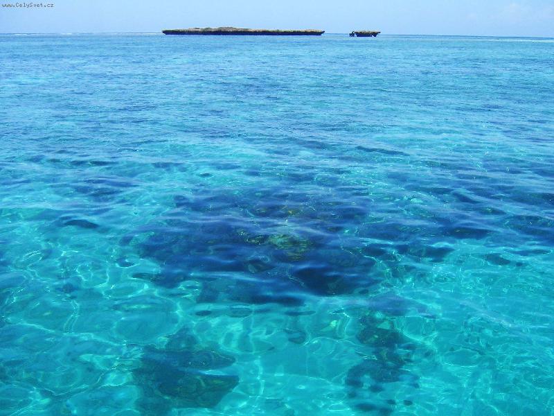 Foto: podvodn� n�rodn� park-v oce�nu