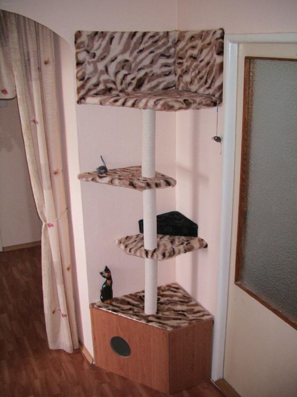 Foto: Ko��tko ELLY