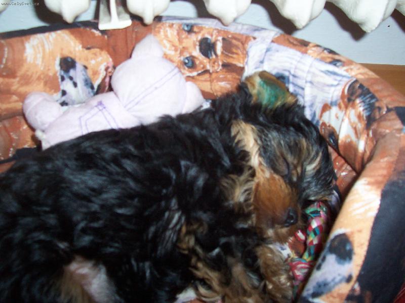 Foto: D�v�m si �lof�ka po ob�dku-N� mal� Bert��ek