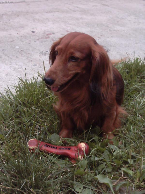 Foto: Alex-Bude si se mnou n�kdo hr�t ??