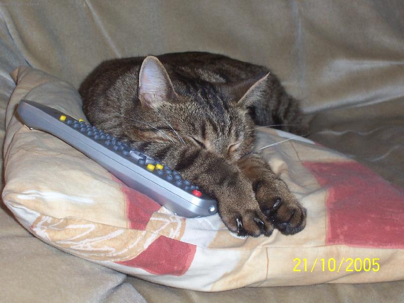 Foto: Mat�sk�v relax