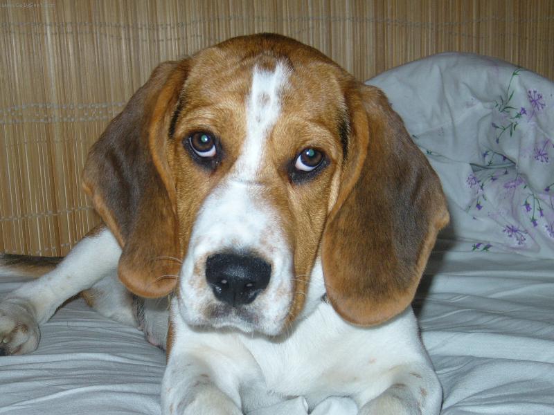 Foto:  SAMUEL-Je to moje nejkr�sn�j�� slun��ko !!!