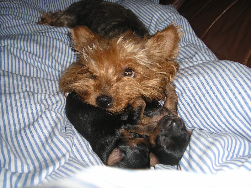 Foto: PEGGYNKA+�T�N�TKA-U� JE KONE�N� MATKOU !!!!!