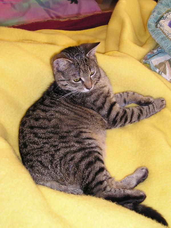 Foto: v posteli je nejl�p