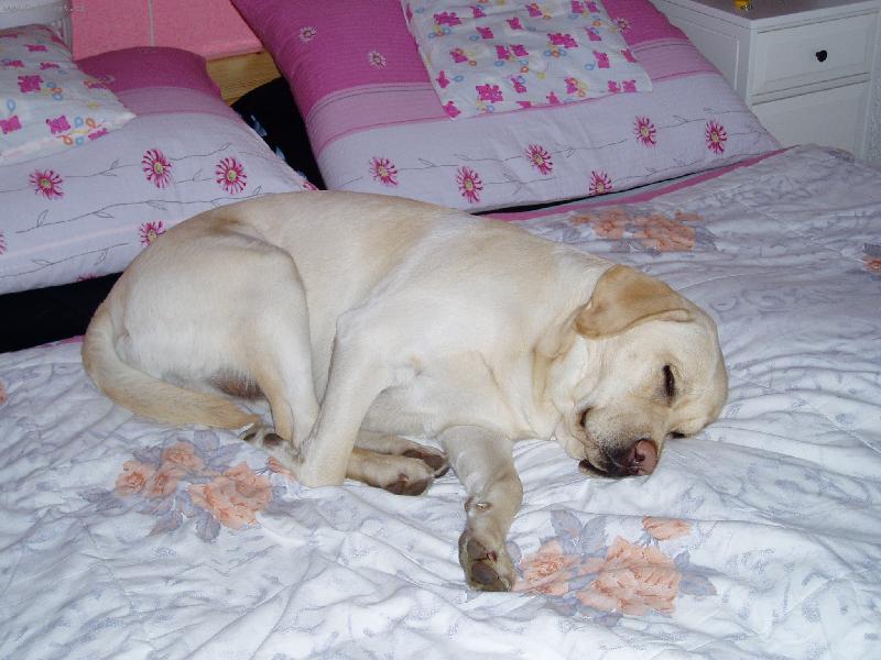 Foto: N� mazl��ek-Bla�en� odpo��v� v pel�ku