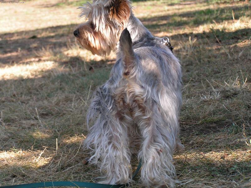 Foto: Elinka se na toulkach prirodou zasadne nefoti