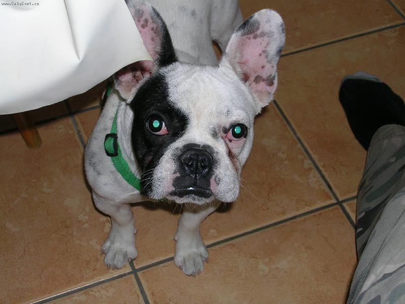 Foto: Pepinka-KUK!!!!