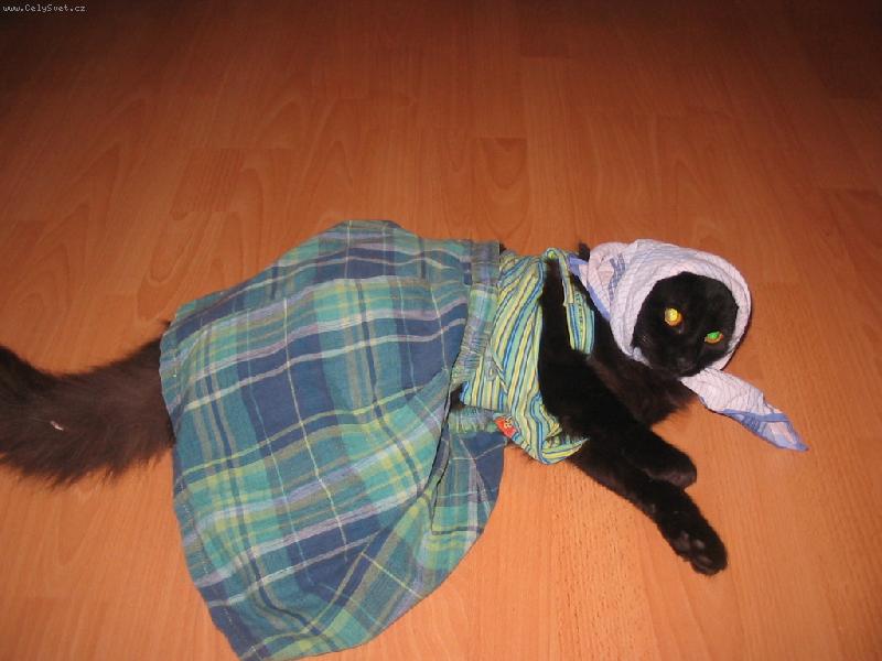 Foto: muj mikynek-jak mu to krasne slu�iii