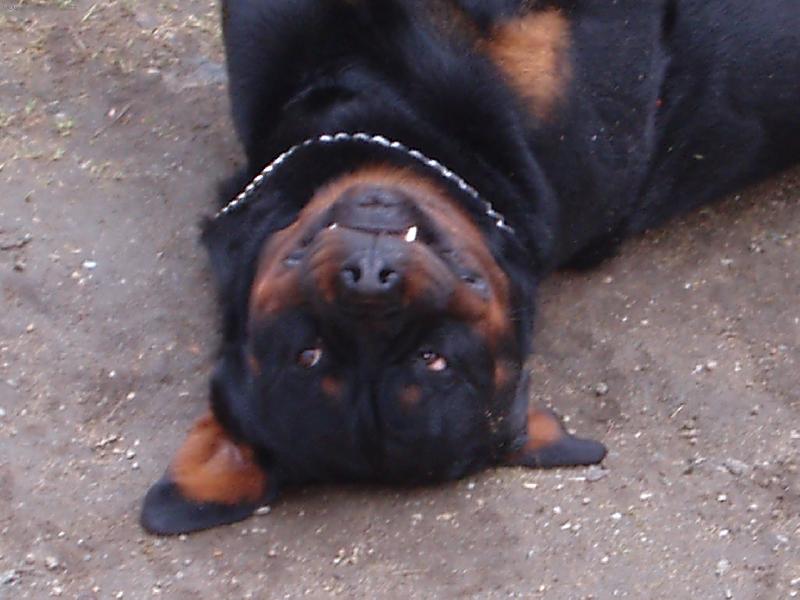 Foto: ��p��r