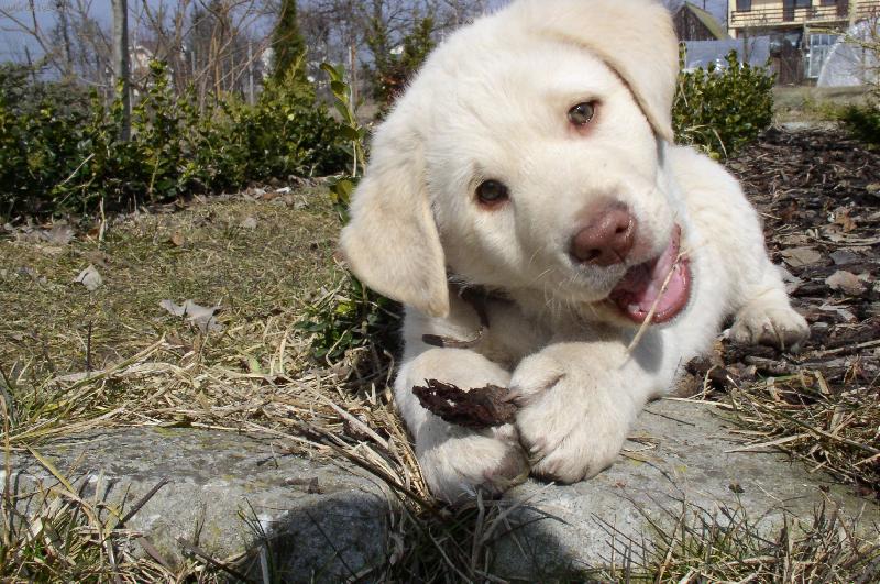 Foto: kuk... :-)-...vol�m sa Hugo a ty?