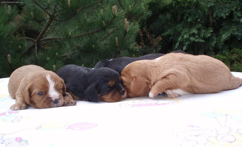 Foto: 14 denn� �t���tka poprv� na vzduchu