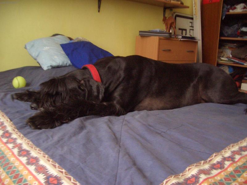 Foto: TARA-neni nad to se po��dn� nat�hnout...