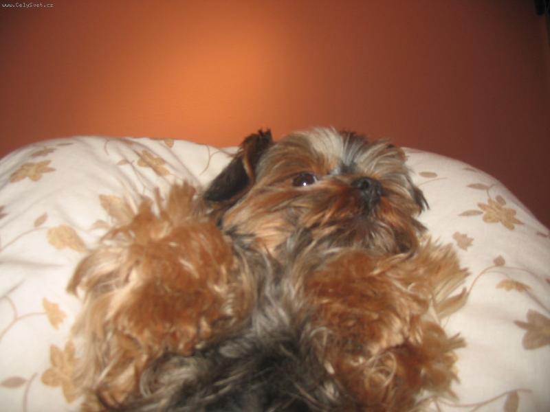 Foto: Fil�pek-Pohodov�