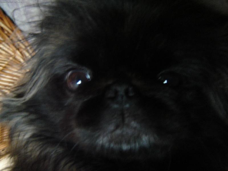 Foto: Judy-Kuku� na�� Judynky