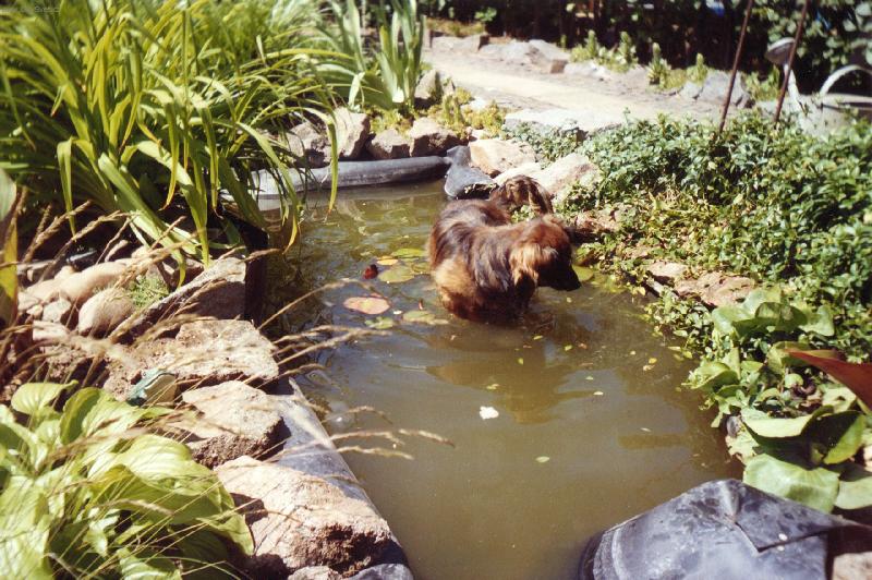 Foto: Ron��ek-Lovec Pampal�ny