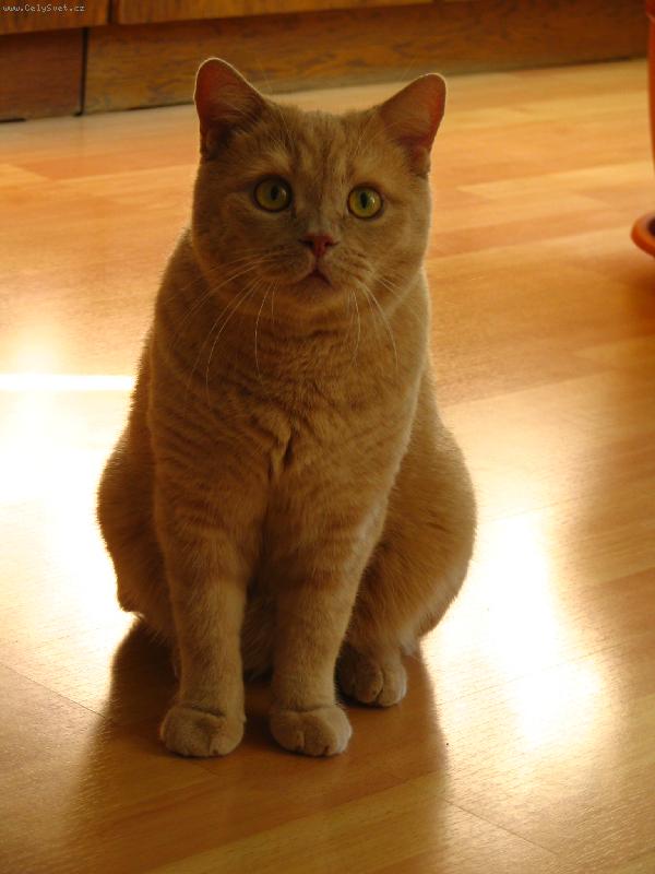 Foto: Co to tam m�te??