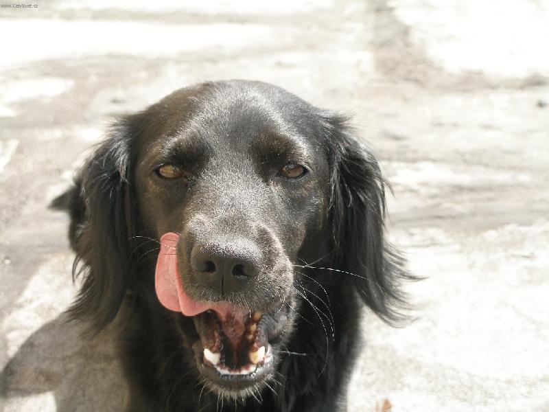 Foto: to byla m�amka