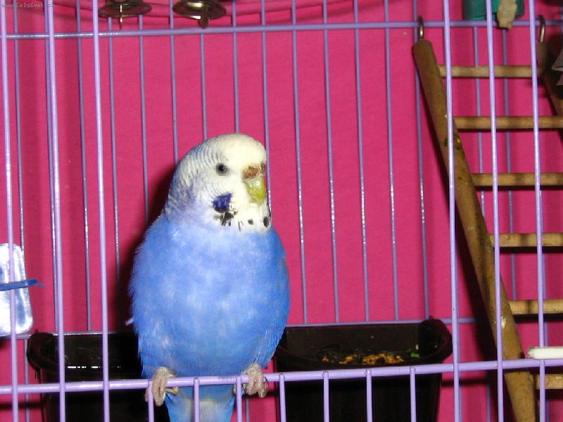 Foto: Zuza domovnice!