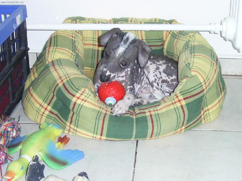 Foto: No nen� k se�r�n�