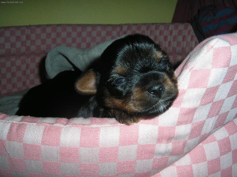 Foto: Peggyn�ino �t�n�tko-za��n�m se d�vat na sv�t......