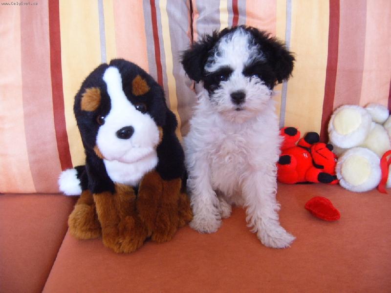 Foto: Hl�d�me spolu