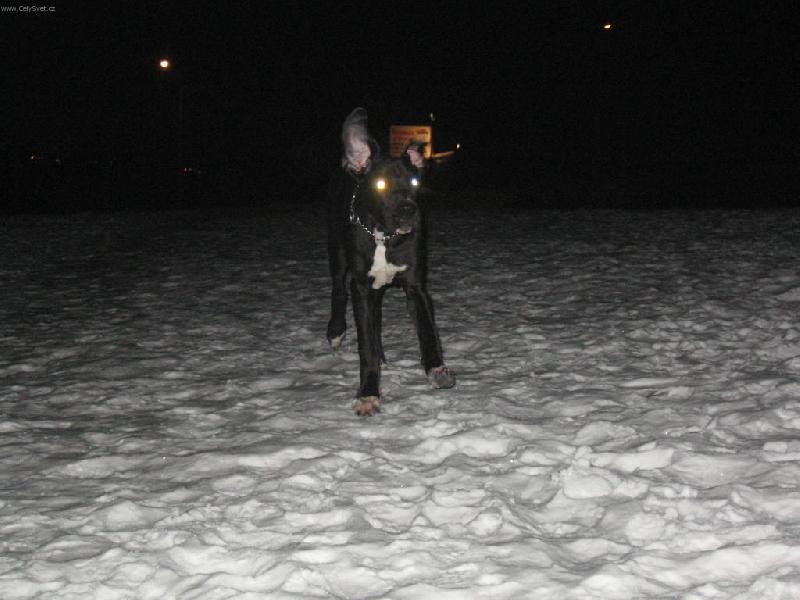 Foto: L�TAJ�C� �ESTM�R-POZOOOR ASI ULET�M