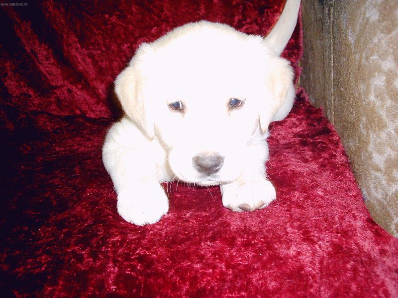 Foto: A te� jsi vy�l�pnu...