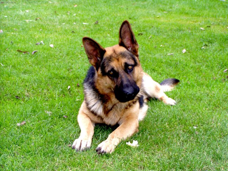 Foto: Smutn� kouk�m.