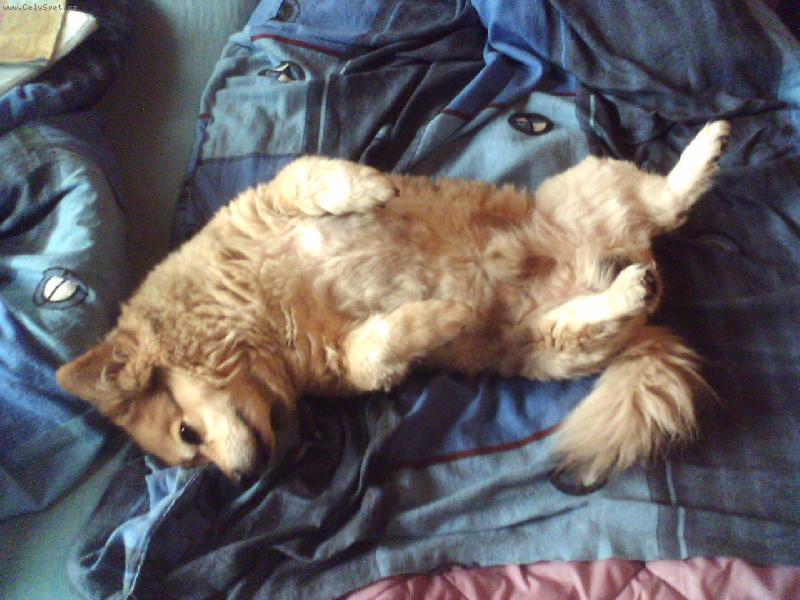 Foto: Be�ul�k-Odpoledn� pauzi�ka