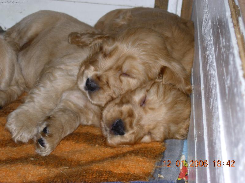 Foto: Le�� se ti dob�e???