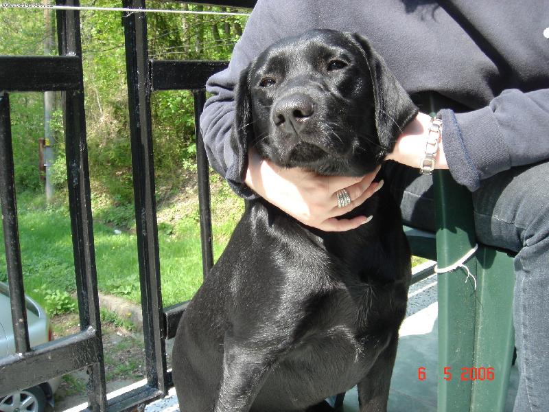 Foto: Pani�ka ma vol� AIDA-�elma pre�krutn�...:-)